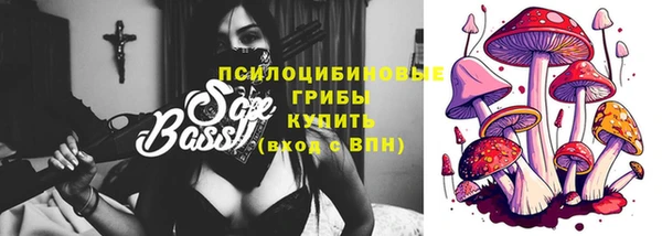 Альфа ПВП Аркадак