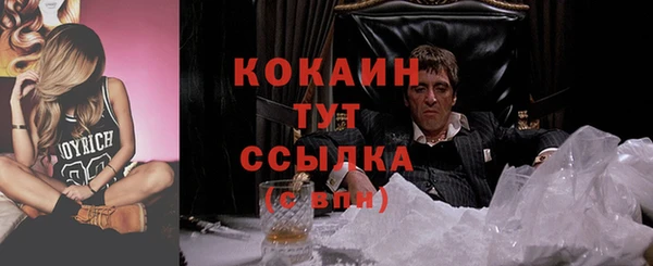 Альфа ПВП Аркадак