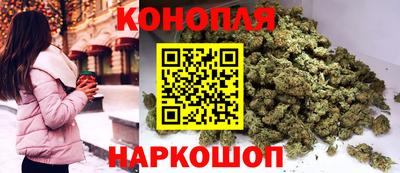 бошки Гай