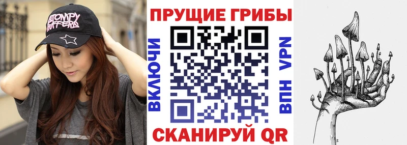 Псилоцибиновые грибы Psilocybine cubensis  Учалы 