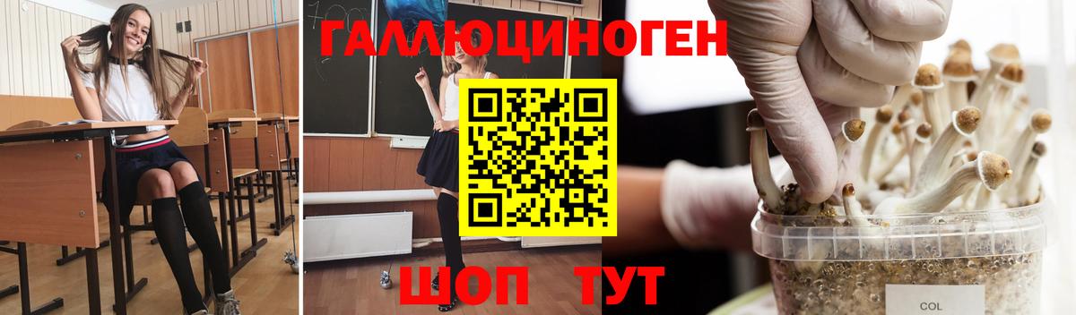 Галлюциногенные грибы мицелий  наркотики  Учалы  Вход с VPN 